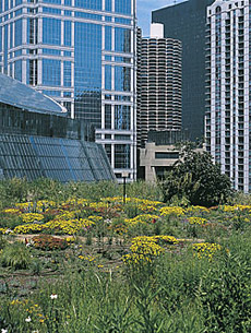 ����������� ��������, ���, ����� ������ ����������, ������ ����� ������������� � ������� ��� ��� ���� � ���������, ����������� ���� ������ �������, � ��� � ������� �� ������� ������� �������� (���� M.S. Thompson).