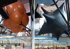 ��������� "����� ������" (�����) � ������ Spikey � �� ������ ���������, �� � ������� ��������� (���������� � ����� edition.cnn.com).