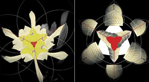 ��� ��������� ������ ������������ � ��������� ������ (����������� � ����� burjdubai.com).