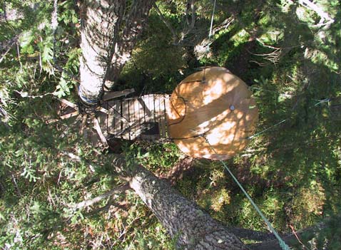 ��� ������. ����� �������, ��� �� ����� ���� ����� �������� � �������� �� ����� (��� ����� �����), � �������� �������� (���� � ����� freespiritspheres.com).