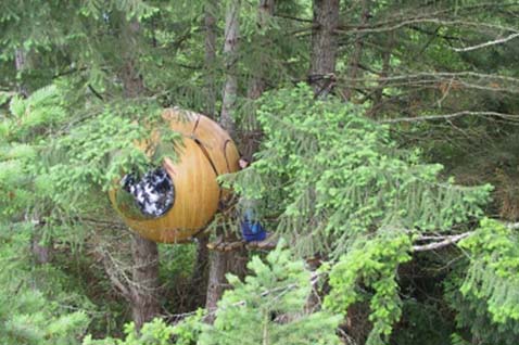 ���� ������� ��� "�����" � ��������, ��� ����� ������� ������������� (���� � ����� freespiritspheres.com).