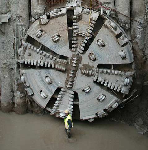         (   startribune.com).