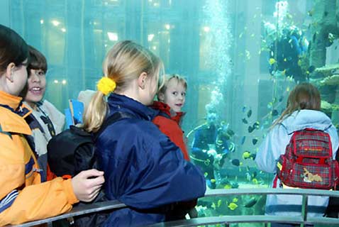        ,      ""  (   domaquaree.de).