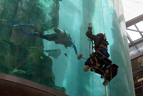     ,     (   domaquaree.de).