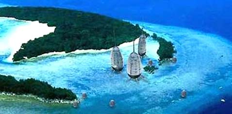 -  M3   ,   (   msnbc.msn.com).