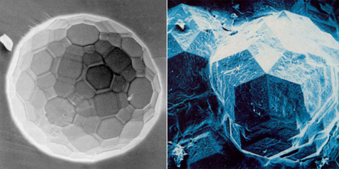     AlMnPd  Al<sub>60</sub>Li<sub>30</sub>Cu<sub>10</sub> ( Paul J. Steinhardt).