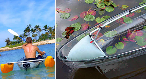 :         Molokini.            . :  ,   ,      ,        ( Clear Blue Hawaii).