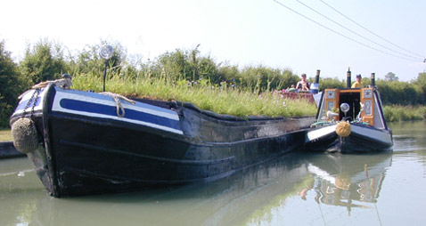       , ,   ,        (   movingmeadow.co.uk).