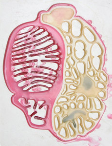    ""    ,       (   james-king.net).