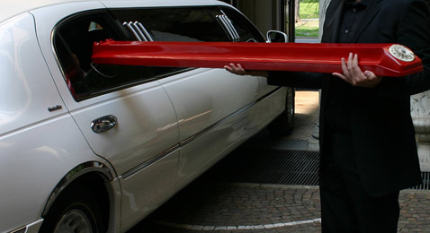      ,     .  , ,  ( Interaction Design Institute Ivrea).