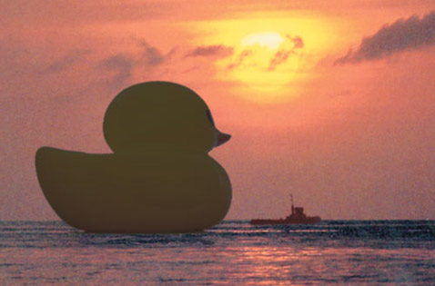    .  , ,  (   florentijnhofman.nl).