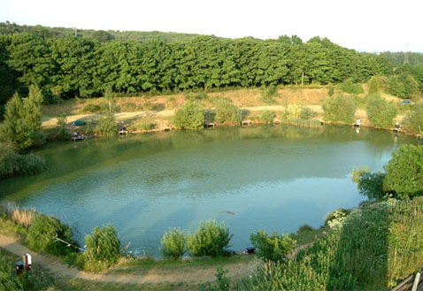  Fringe Lake,        (   juliefreeman.co.uk).