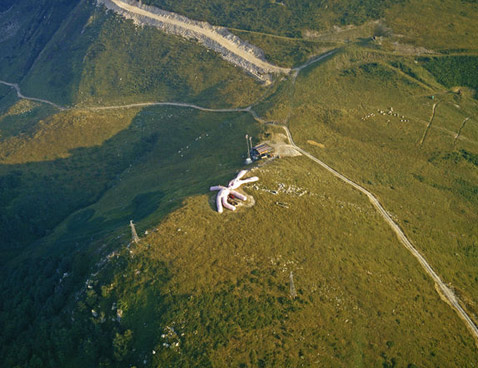 Rabbit     (   gelitin.net).