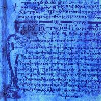    ,   -    ,      ,       Xerox (   sas.org).