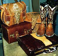      .       ,       (   panda.org).