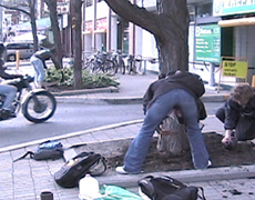   :         (   publicspace.ca).