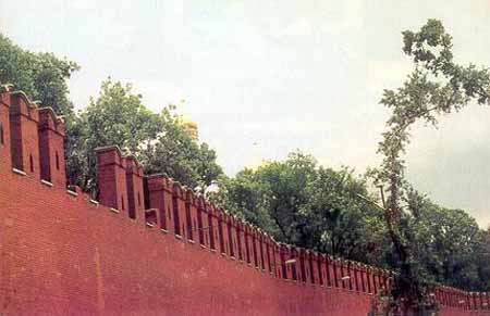 49_8.jpg (25657 bytes)