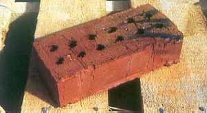 49_5.jpg (14856 bytes)