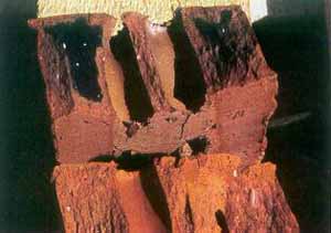 49_6.jpg (16525 bytes)