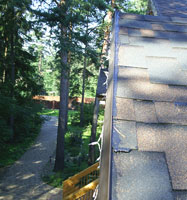 �����������: ������� ���� K-36 ���� � �������