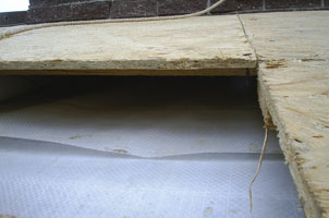 �����������: ����� ����� ������� �� ��������