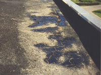 �����- � ������������� ������ �� 50 ���