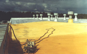 ������, �������� ����������������.