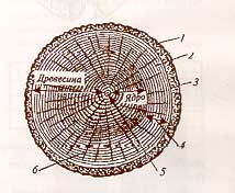 ���������� ������ ������ ������ (���.1)