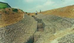 ����������� ���������� �� ����