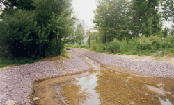 ����������� ���������� �� ����