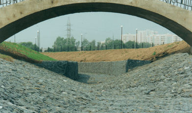 ���� (����� ������)