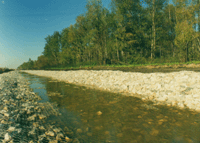 ���������� ������� �.����