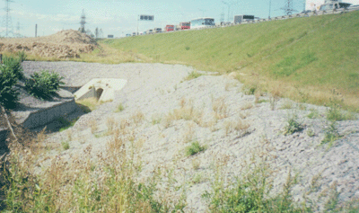 ������ ������� �� ������������� �������.