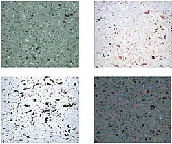 ��������� ������ � ��������<br>��������� �����������