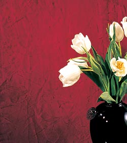 ������������� ���������� 