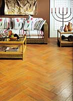 "���������" ������ ������� �������