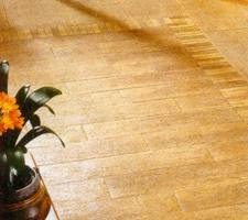 ��� �� ��������������� ����