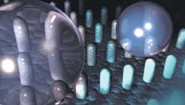 ��������������� �������� ��� ��������