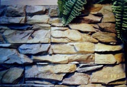 ������������� ������ ��������� ������ ������������.