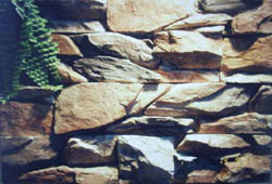 ������������� ������ ������ ������� ����������� �� ����� ����������� � �������� � ��� � ������� �������� ���������� �������� ��� ����������� ����� � ������