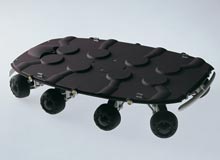   ,     .    ,    ( Yukio Shimizu/lleedd.com).