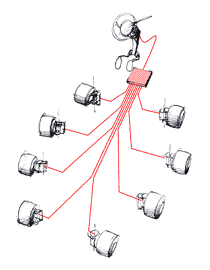   ,   ( Yukio Shimizu/lleedd.com).