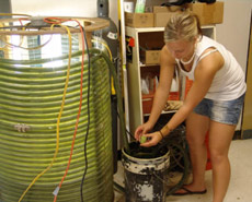       Biocoil (   biosub.com.au).