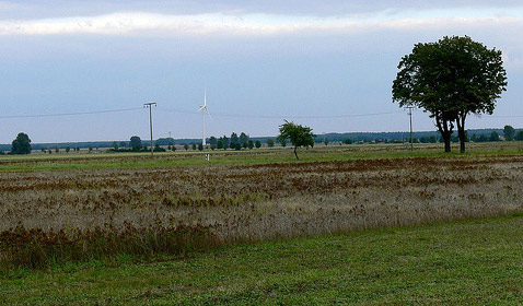   , ,     .         100-  ( Stefan Dieffenbacher).