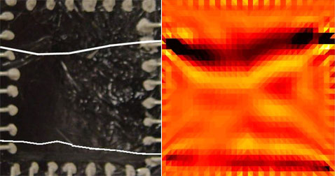     ():  , ,        ;    ""  () ( University of Michigan).