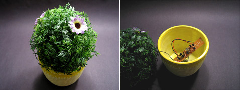 ,  :    " ".     , ,   ,  ! (   intranet.lcc.arts.ac.uk).