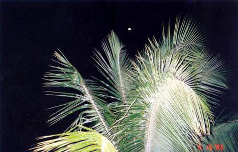      ? ,      (   wintersteel.com).