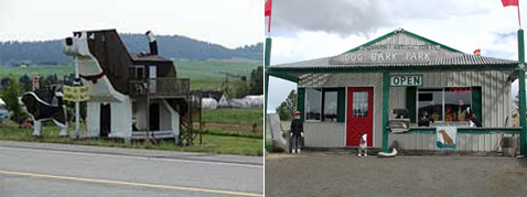         .   -  ,   ,  ,   ,      ,    (   dogbarkparkinn.com).