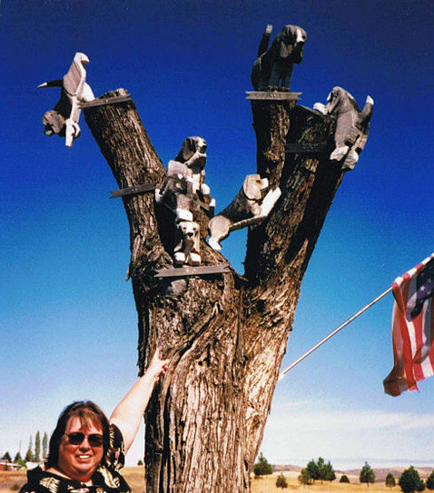 , ,     (   biggirlbigstuff.com).