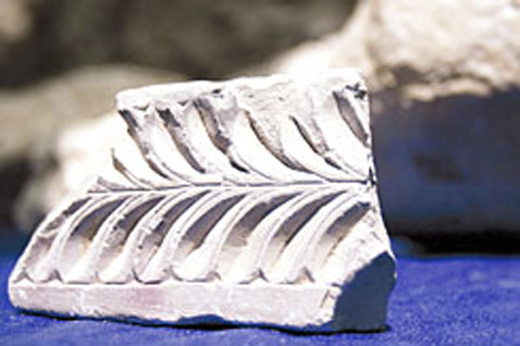  ,   ,   .      ,   ,      , -     (   haaretz.co.il).